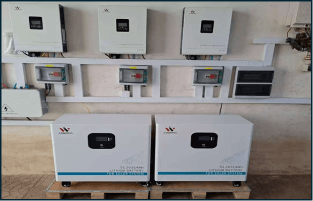 Success Case Study 3