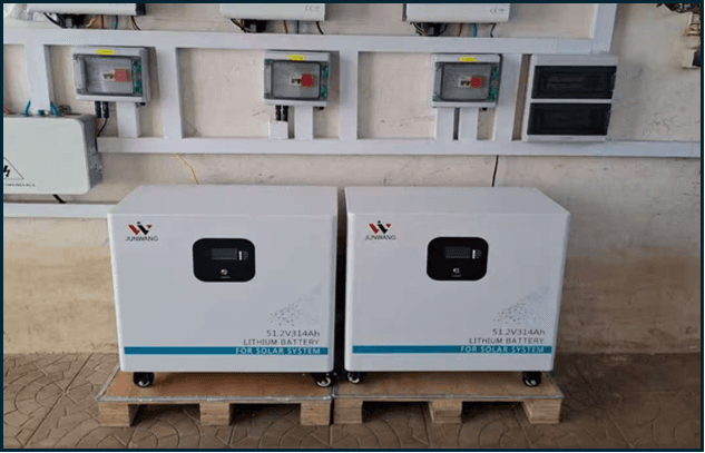 Success Case Study 6